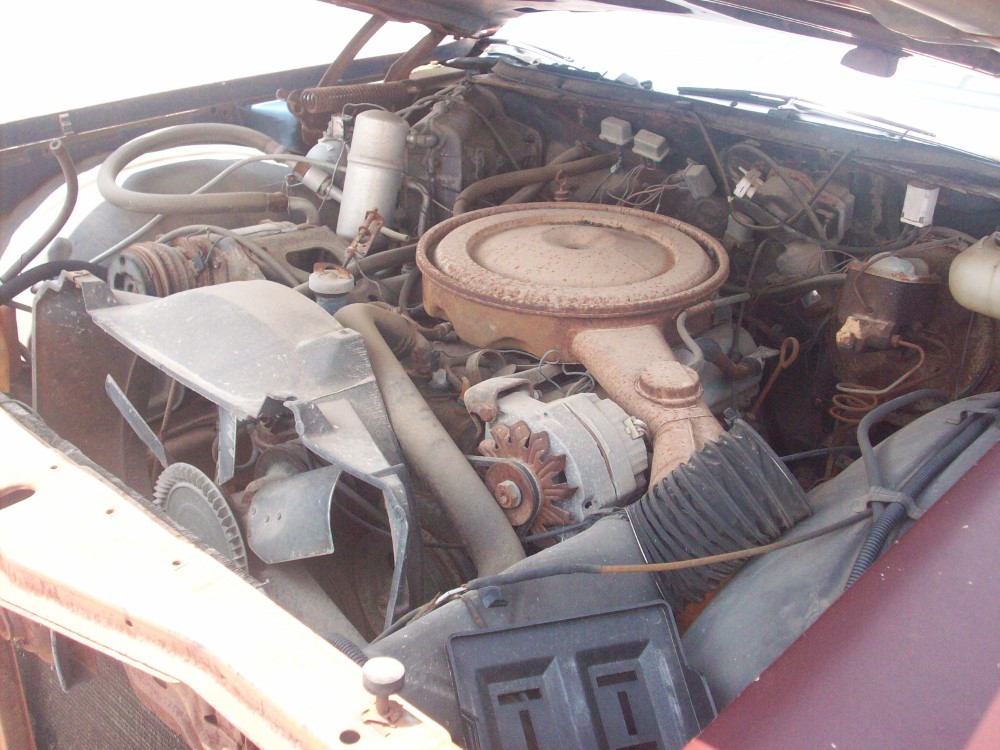1976 Oldsmobile 88 Parts Car 2
